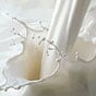 Експорт молока для промислової переробки різко скоротився