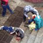 У Харкові сепаратисти напали на учасників акції "За єдину Україну". Постраждали 50 осіб - МВС