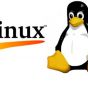 Новий троян для Linux організовує ботнети
