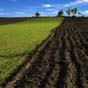 Земельна реформа в Україні: названо два головні плюси для селян