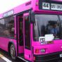 Житомир отримає в лізинг 23 автобуси Мінського автозаводу