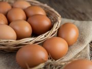 Украинцы будут платить за яйца по 40 гривен: почему взлетят цены