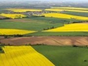 Более 100 тысяч гектаров земли сменили владельцев за время работы рынка в Украине - Лещенко
