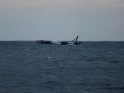 Всупереч очікуванням Falcon 9 витримала посадку на воду