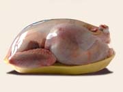 Украина стала лидером по экспорту мяса птицы в ЕС
